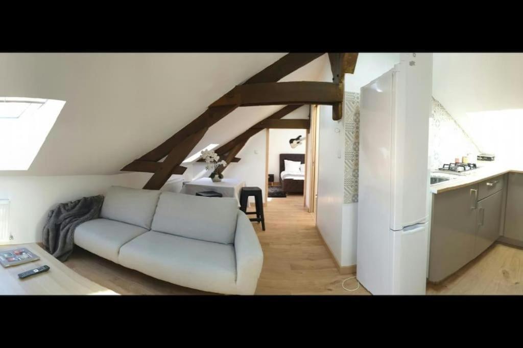 Les Suite Appartement A Chalon Sur Saone Eksteriør billede